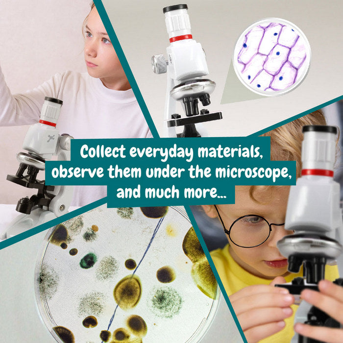 Joc educativ pentru copii "Microscope"
