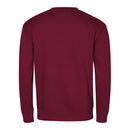 HANORAC UNISEX Malfini Crew 426