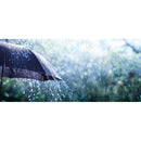 Umbrela automata 45193