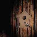 Casuta pentru pasari 5071913