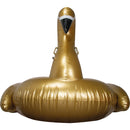 Lebada gonflabila 5525498