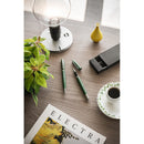 Set pix si roller aluminiu reciclat "Re-Lando-Set"