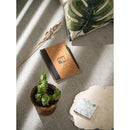 Caiet ~B6 13 x 17,8 cm "Vicente"