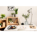 Cutie ermetica de 1000 ml "Pyrus"