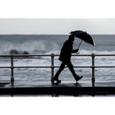 Umbrela automata "Albert"