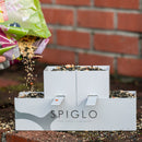 Sticla otel inoxidabil reciclat Spiglo, 780 ml