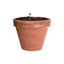 Minge cu seminte de flori "Flobba"