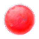 Compresa cald "Relief"