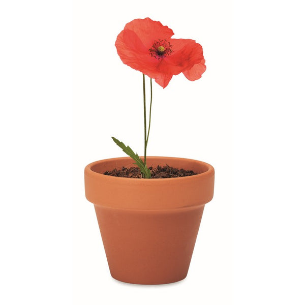 Ghiveci teracota mac "Red Poppy"