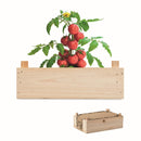 Kit de crestere rosii in cutie de lemn "Tomato"