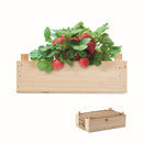 Kit de cultivare a capsunilor in cutie de lemn "Strawberry"