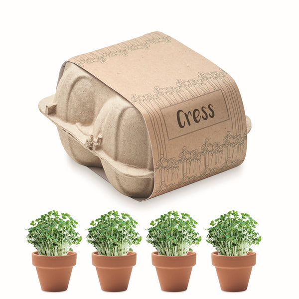 Set 4 ghivece cu seminte in carton de oua "Cress"