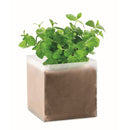 Compost cu seminte "MINT" "Mint"