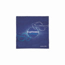 Carpa de curatat RPET 13x13cm "Rpet Cloth"