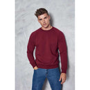 BLUZA UNISEX MANECA LUNGA Just Hoods Graduate Heavyweight AWJH130