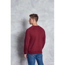 BLUZA UNISEX MANECA LUNGA Just Hoods Graduate Heavyweight AWJH130