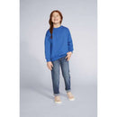 BLUZA COPII MANECA LUNGA Gildan Heavy Blend™ GIB18000