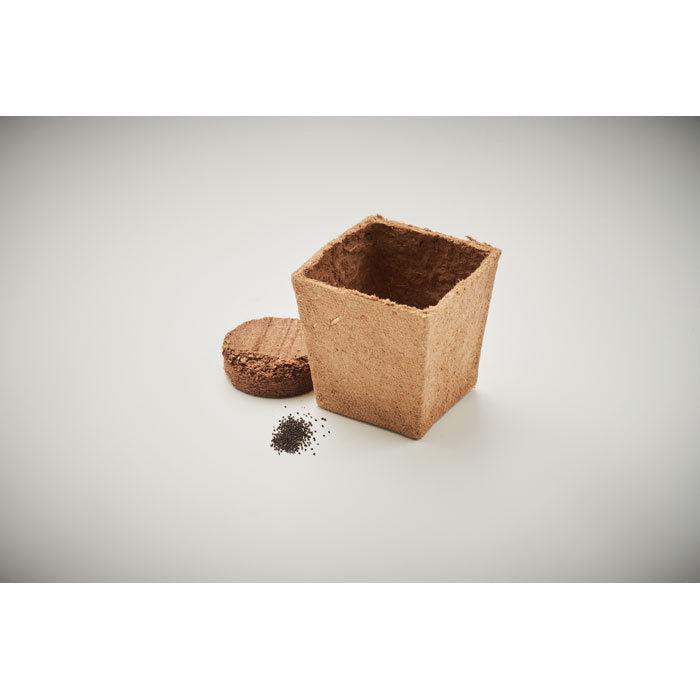 Ghiveci cu seminte "Mint Kit"