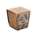 Ghiveci cu seminte "Mint Kit"