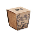 Ghiveci cu seminte "Mint Kit"