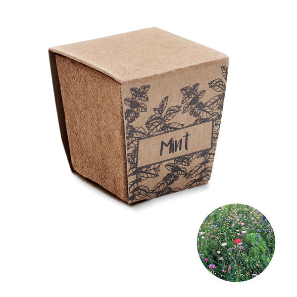 Ghiveci cu seminte "Mint Kit"