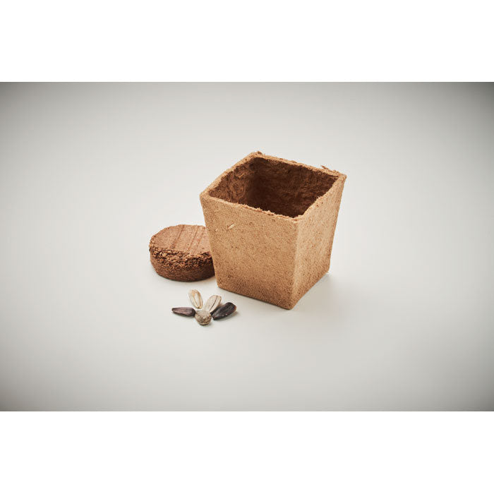 Ghiveci cu seminte "Sunflower Kit"