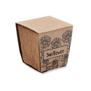 Ghiveci cu seminte "Sunflower Kit"