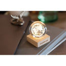 Glob de sticla LED "Globe Light"