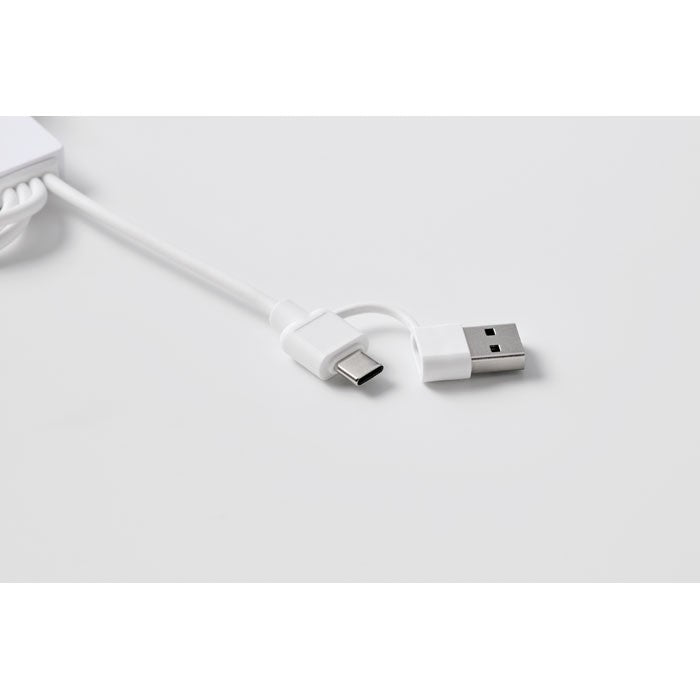 Cablu adaptor USB  2 in 1 "Icab"