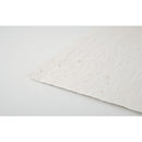 Foaie A4 cu seminte "Asidi"