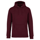 HANORAC UNISEX ECO-FRIENDLY NATIVE SPIRIT HOODED SWEATSHIRT NS401