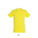 TRICOU BARBATESC Sol's Regent SO11380