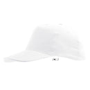 SAPCA Sol's Sunny COPII 5 panele SO88111