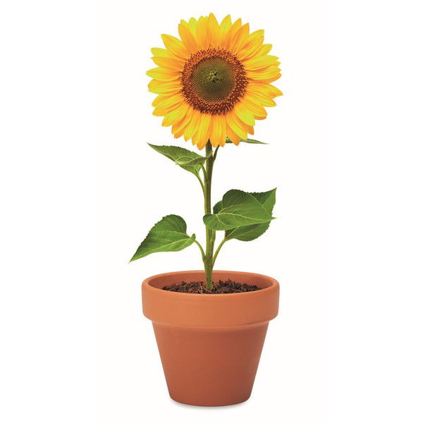 Ghiveci floarea soarelui "Sunflower"