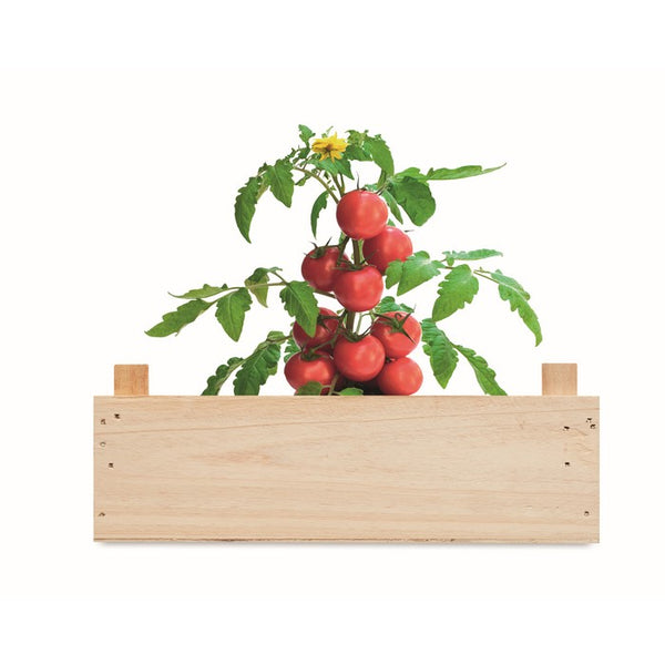 Kit de crestere rosii in cutie de lemn "Tomato"