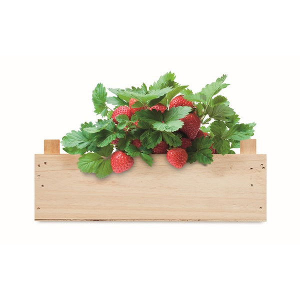 Kit de cultivare a capsunilor in cutie de lemn "Strawberry"