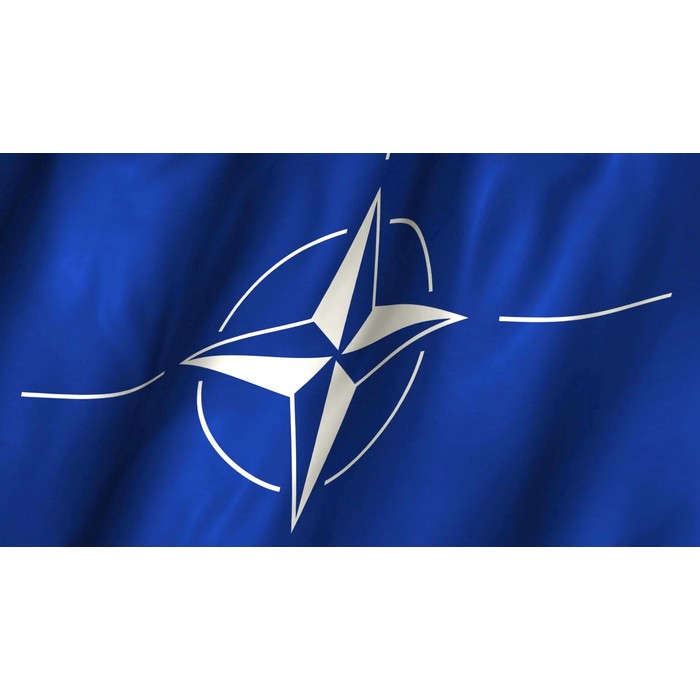 STEAG NATO, 100 x 150, material extraflex tratat UV